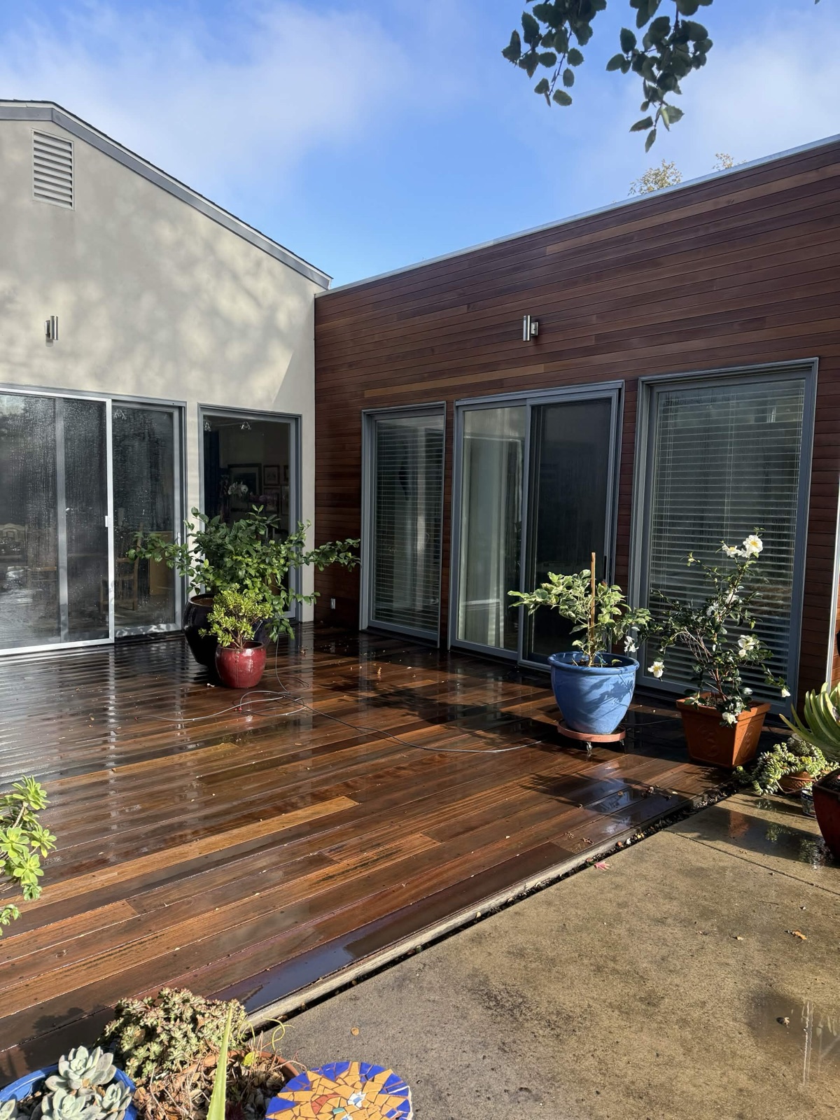Freshly stained ipe wood deck and siding