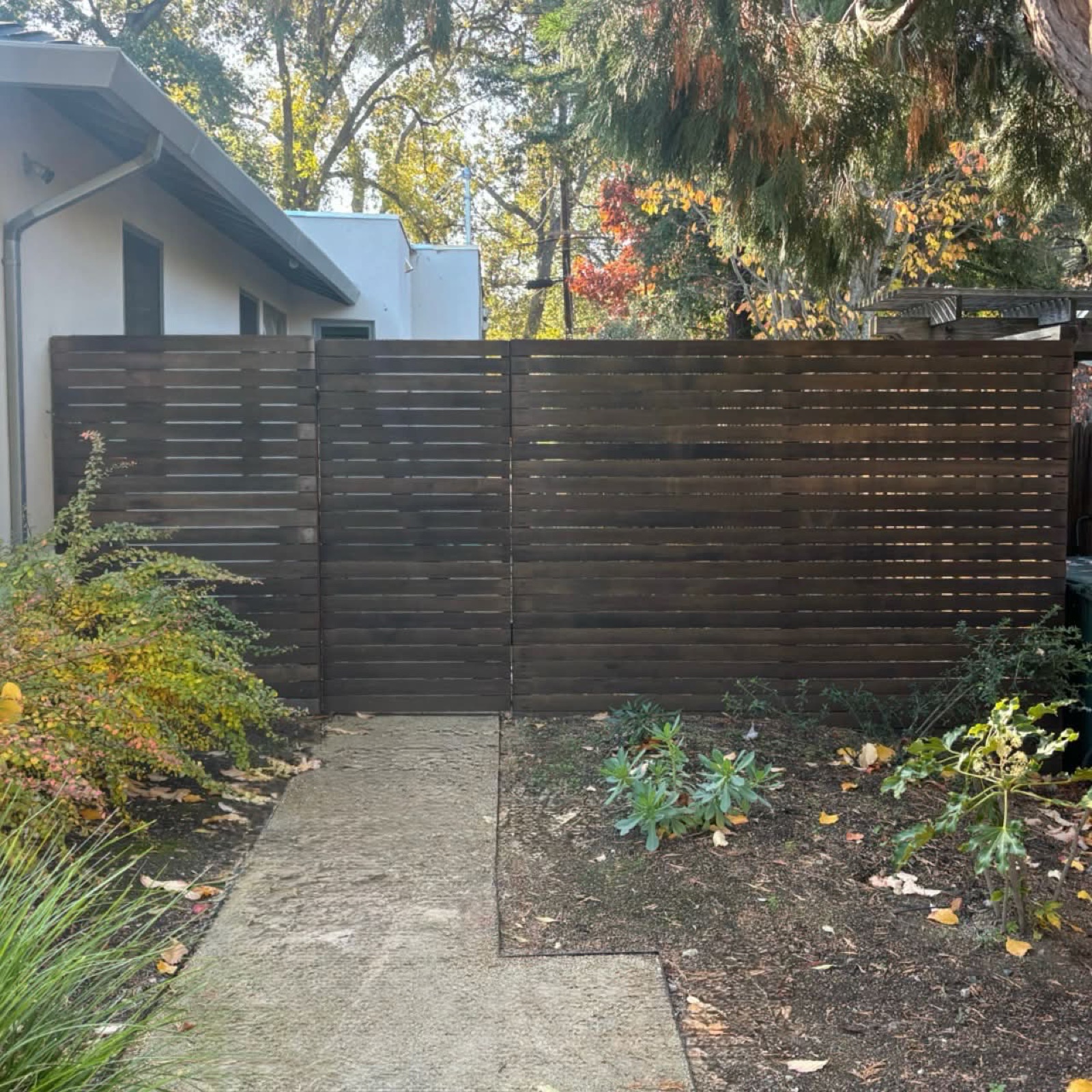 Freshly stained horizontal wood fence