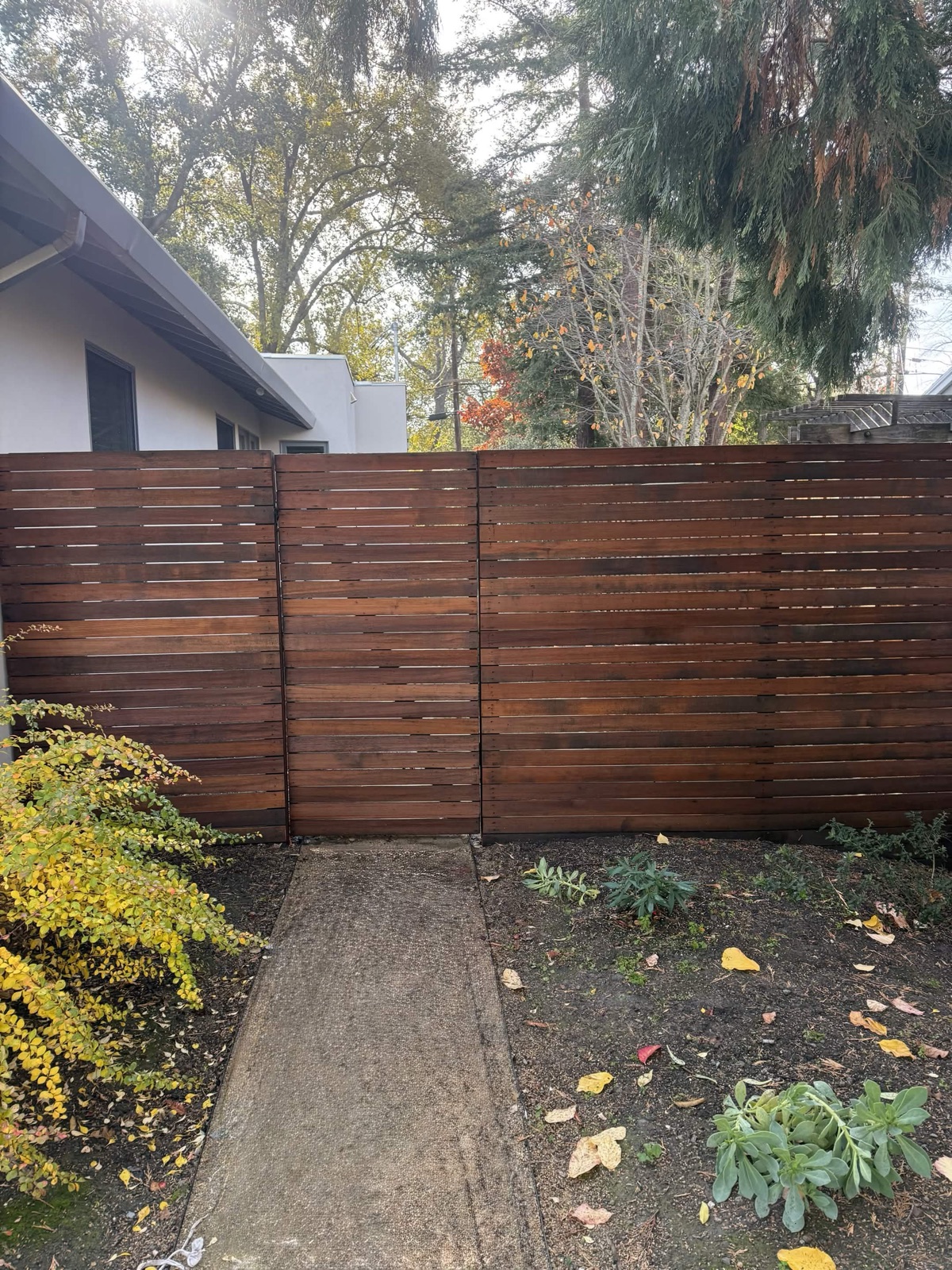 Faded wood fence before staining